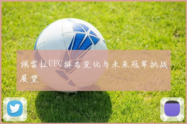 佩雷拉UFC排名变化与未来冠军挑战展望