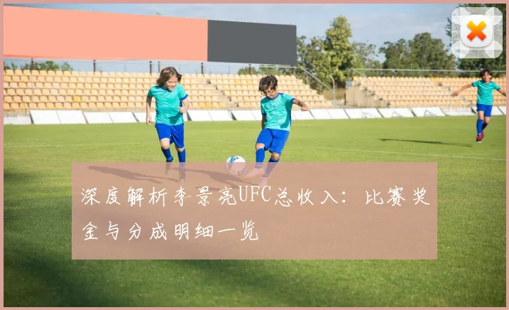 深度解析李景亮UFC总收入：比赛奖金与分成明细一览