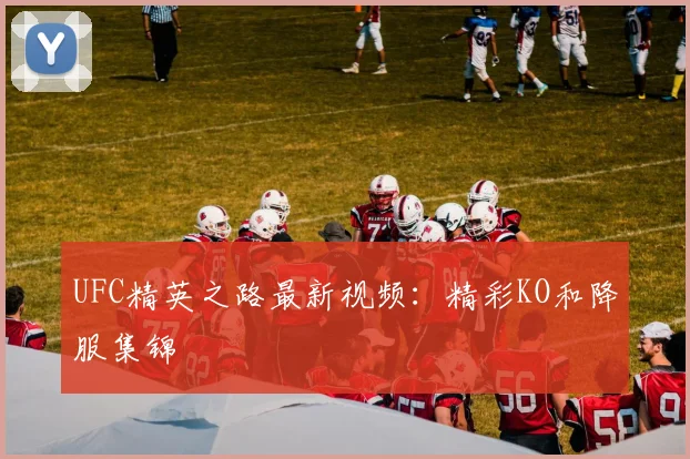 UFC精英之路最新视频：精彩KO和降服集锦