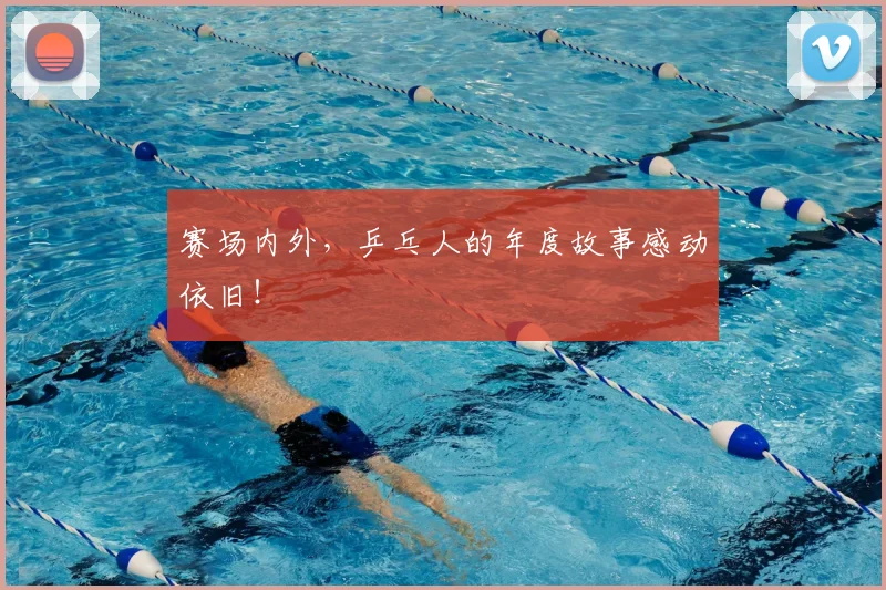 赛场内外，乒乓人的年度故事感动依旧！