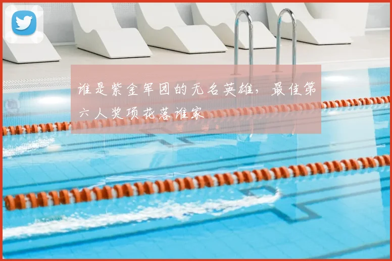 谁是紫金军团的无名英雄，最佳第六人奖项花落谁家