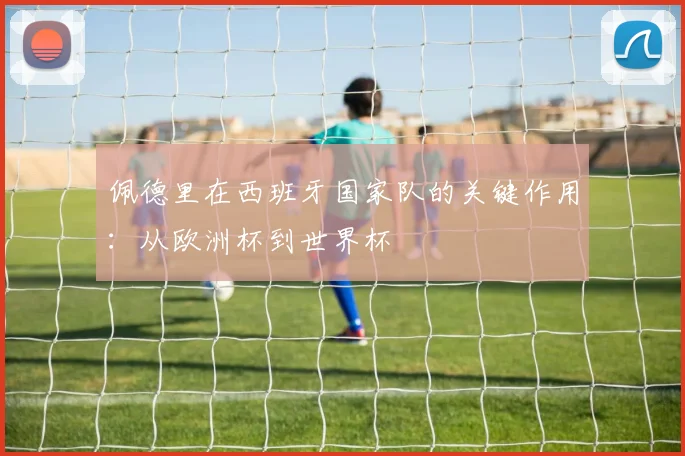 佩德里在西班牙国家队的关键作用：从欧洲杯到世界杯